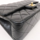 Chanel Matelasse 25 Lamb Skin Double Flap Shoulder Bag A01112