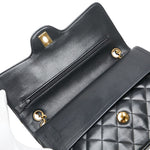 Chanel Matelasse 25 Double Flap Shoulder Bag