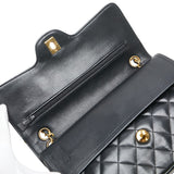 Chanel Matelasse 25 Double Flap Shoulder Bag