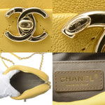Chanel Matelasse Camera Bag Chain Shoulder Bag