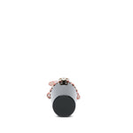 Chanel Lucite Lipstick Case On Chain (SHG-3rsBtE)