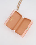 *COLLECTOR'S PIECE* Chanel Minaudi√®re Pink Plexiglass Clutch Bag With Champagne Hardware and Logo Detail
