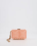 *COLLECTOR'S PIECE* Chanel Minaudi√®re Pink Plexiglass Clutch Bag With Champagne Hardware and Logo Detail