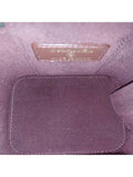 AP1340 Black Caviar Skin Vanity Gold Mini Chain Cross Bag Chanel